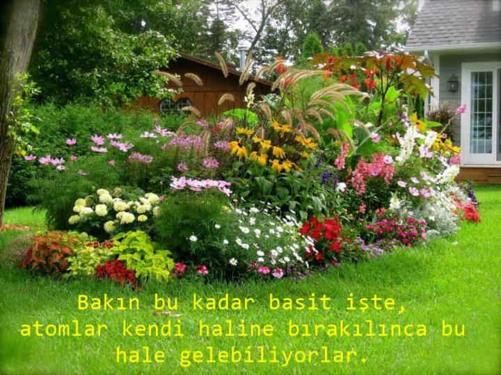 ateistlerin evrim anlayışı