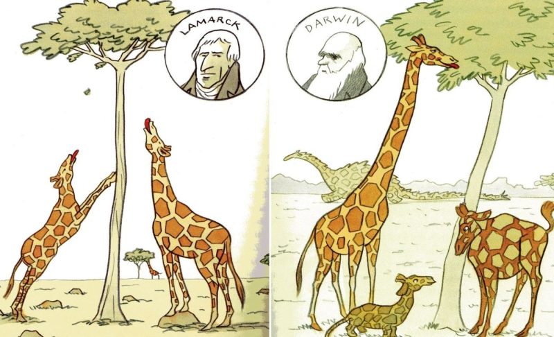 darwin lamarck