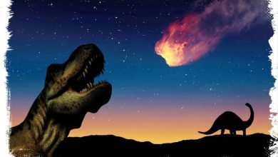 dinozorların yok olması