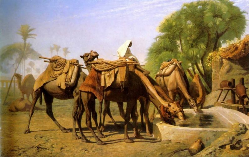 Hz Muhammed’in hocaları