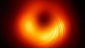 222
